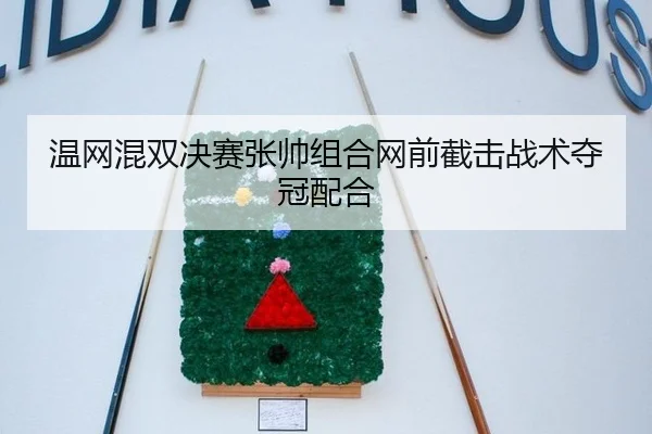 温网混双决赛张帅组合网前截击战术夺冠配合